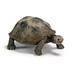 Schleich Giant Tortoise