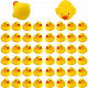 50pcs Rubber Ducky Bath Toy for Kids
