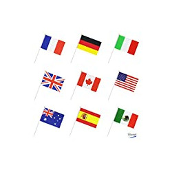 50 Countries International World Stick Flag