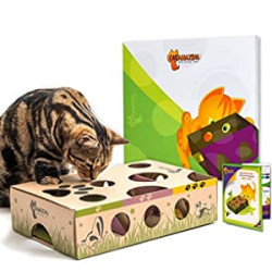 Best Cat Toy Ever! Interactive Treat Maze & Puzzle Feeder for Cats