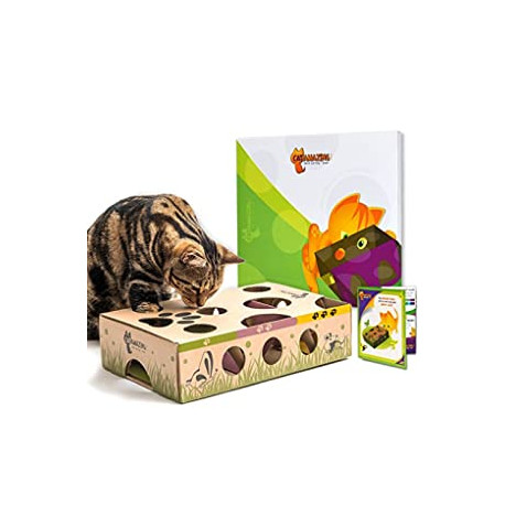 Best Cat Toy Ever! Interactive Treat Maze & Puzzle Feeder for Cats