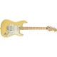 Fender Electric Guitar Maple Fingerboard