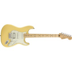 Fender Electric Guitar Maple Fingerboard