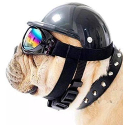 Dog Hat with Goggles, Riding Bike Doggie Cap (Medium, Black)