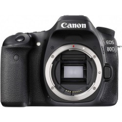 Canon EOS 24.2MP Digital