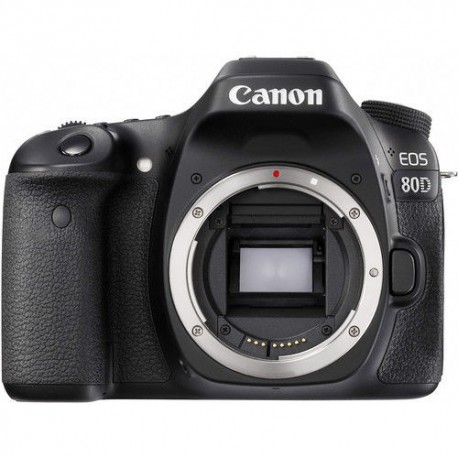Canon EOS 24.2MP Digital