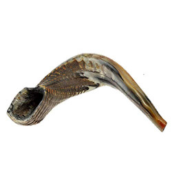 Mall Shofar BB