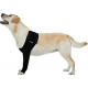 Recovery Sleeve Dog, Extra Large, Black