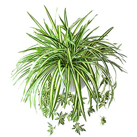 10PCS Artificial Spider Plants 23.6" Artificial