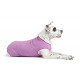 Gold Paw Sun Shield Dog Tee – T-Shirt for Canines
