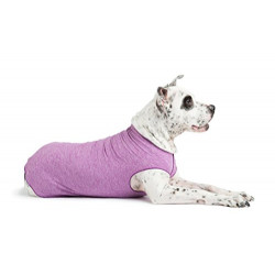 Gold Paw Sun Shield Dog Tee – T-Shirt for Canines