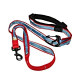 Dog Leash & Tie Out System - Versatile 6 in 1