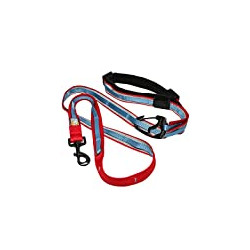 Dog Leash & Tie Out System - Versatile 6 in 1