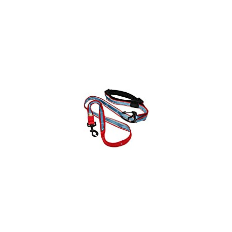 Dog Leash & Tie Out System - Versatile 6 in 1