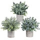 Set of 3 Mini Potted Artificial Eucalyptus
