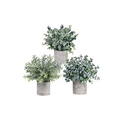 Set of 3 Mini Potted Artificial Eucalyptus