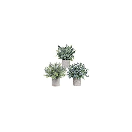 Set of 3 Mini Potted Artificial Eucalyptus