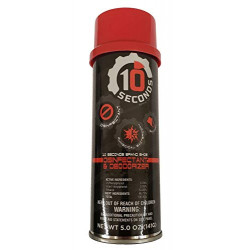 10 Seconds Shoe Disinfectant and Deodorizer, 5 Ounces