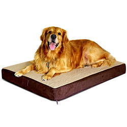 Large Orthopedic Dog Bed