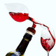 Wine Aerator And Decanter