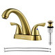 2-Handle Bathroom Sink Faucet