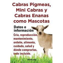 Cabras Pigmeas, Mini Cabras y Cabras Enanas Como Mascota.