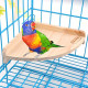 Wood Perch Platform Toy for Bird