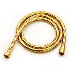 Shower Handheld Hose Polished Gold 59 Inch