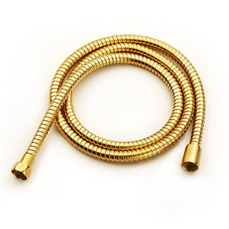 Shower Handheld Hose Polished Gold 59 Inch