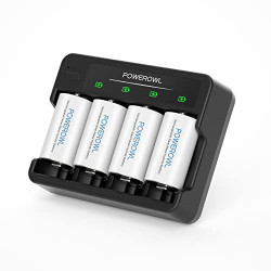 Rechargeable D Batteries with 4 Bay Battery Charger