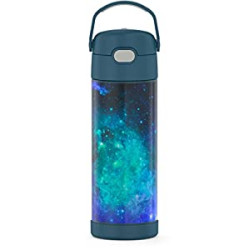 THERMOS FUNTAINER 16 Ounce Stainless Steel Vacuum Insulated Bottle