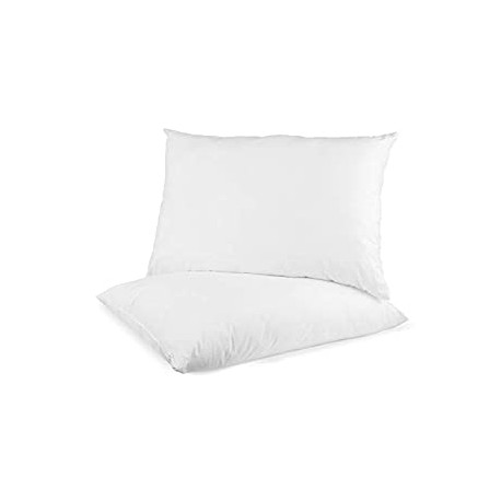 Digital Decor Set of Two 100% Cotton Hotel Down
