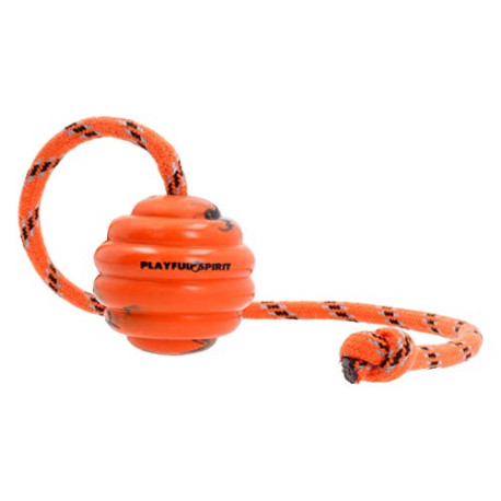 Durable Natural Rubber Ball on a Rope