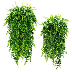 Boston Ferns Artificial Persian Rattan