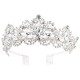 Silver Tiara and Crowns for Women Rhinestone Queen