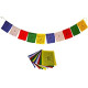 Himalayan Flags (Medium Pack of 50 (7.5" x 7"))