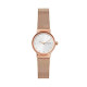 Women's Freja Stainless Steel Dress Quartz Watch