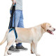 Adjustable Pet Dogs Lift Support Harness