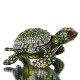 Turtle Trinket Box Turtle Figurine Jewelry