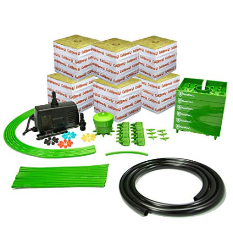 6" x 6″ Rockwool Kit – 6 Plants, Green