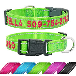 Didog Personalized Embroidered Dog Collar