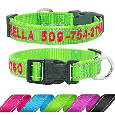 Didog Personalized Embroidered Dog Collar