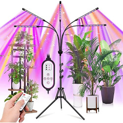 Grow Lights for Indoor Plants