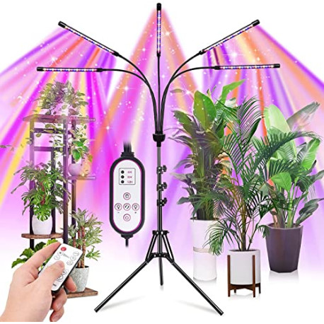 Grow Lights for Indoor Plants