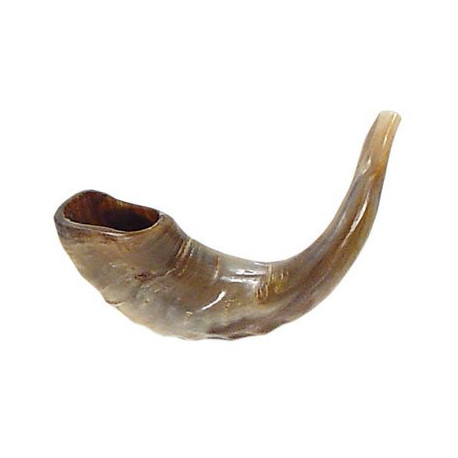 Shofar Kosher Ram Horn 11"