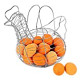 Chicken Hen Shaped Egg Collection Storage