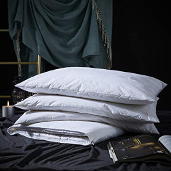 Adjustable Layer Goose Feather Pillow