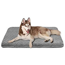 Dog Bed for Large Dogs, 39" Orthopedic