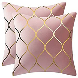 Velvet Throw Pillow Covers: 2 Pack 16x16 Inch