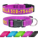 Personalized Embroidered Dog Collar